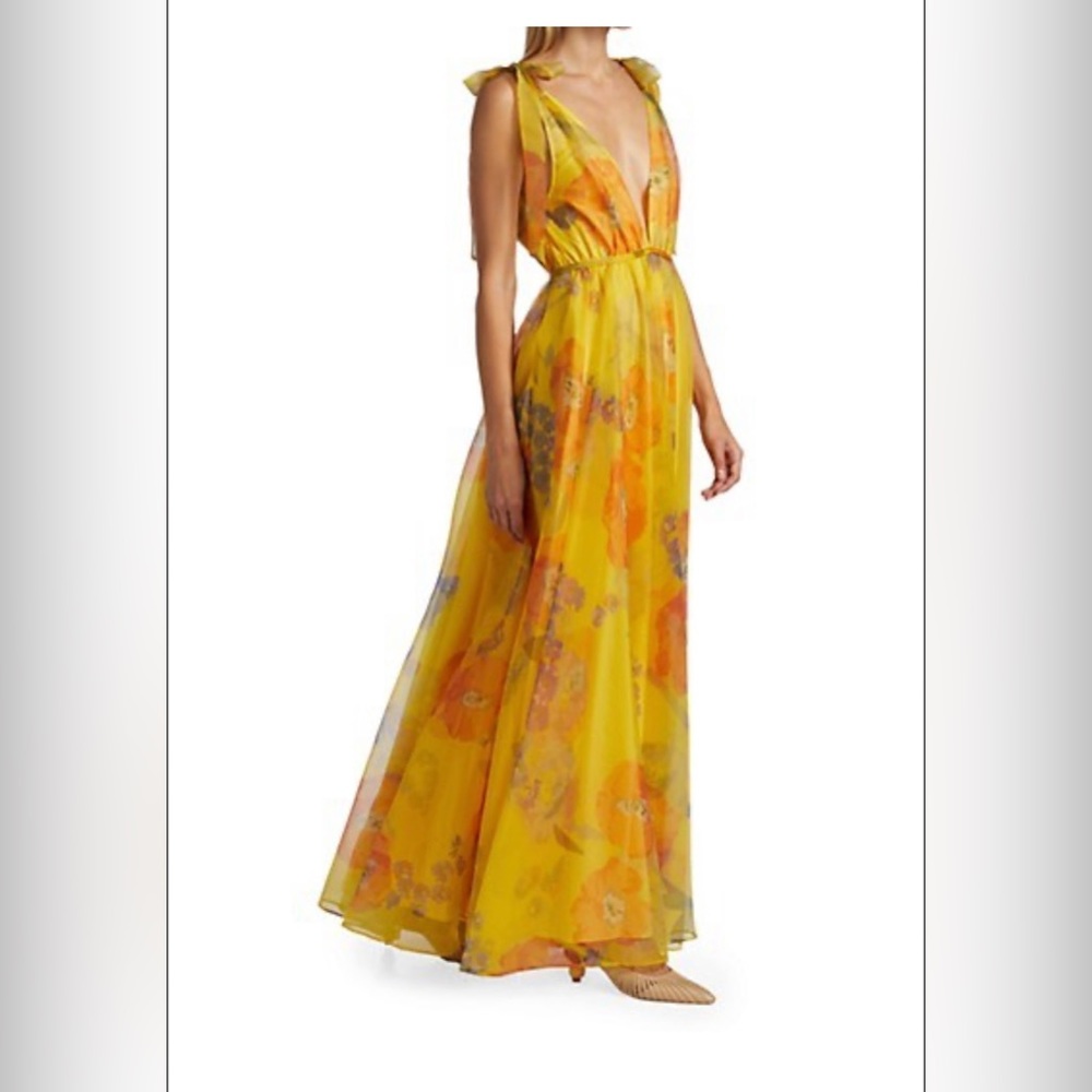 STAUD Dandelion Chiffon Maxi Dress